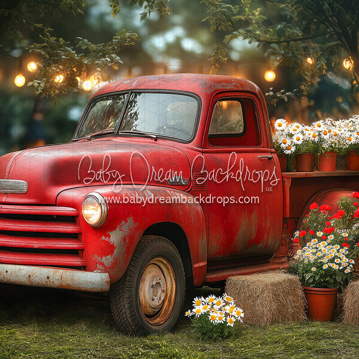 Summertime Red Ride (JA)