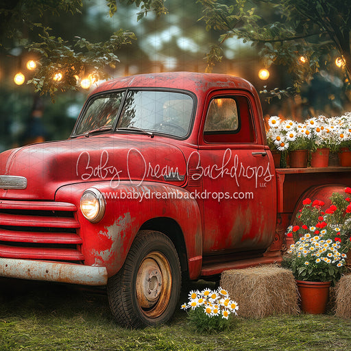 Summertime Red Ride (JA)