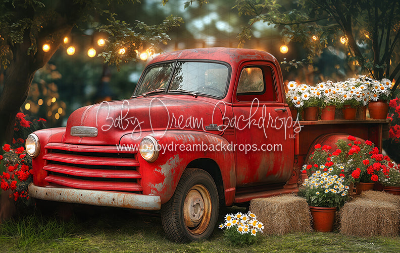 Summertime Red Ride (JA)