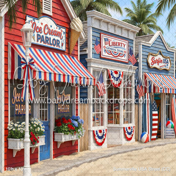 Summerville USA Street (CC)