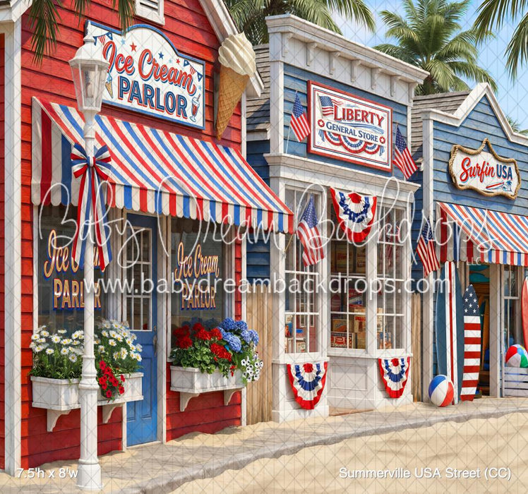 Summerville USA Street (CC)