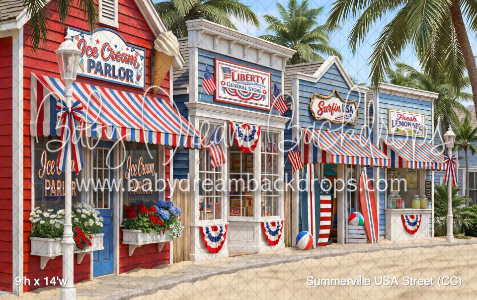 Summerville USA Street (CC)