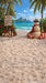 Sun Sand Santa Repeat Sweep (MD)
