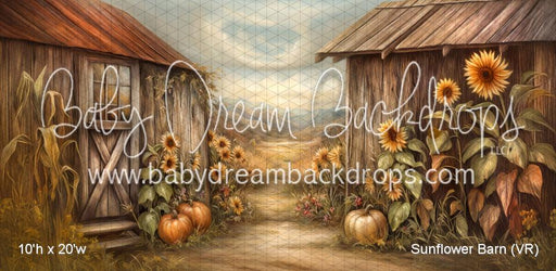Sunflower Barn (VR)