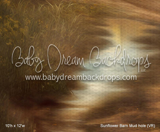 Sunflower Barn Mud hole (VR)