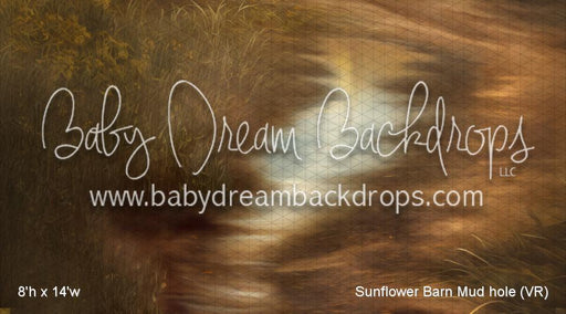 Sunflower Barn Mud hole (VR)