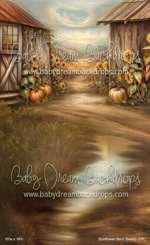 Sunflower Barn Sweep (VR)