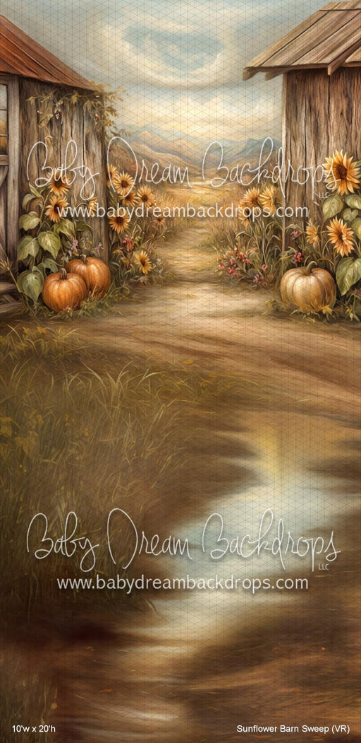 Sunflower Barn Sweep (VR)