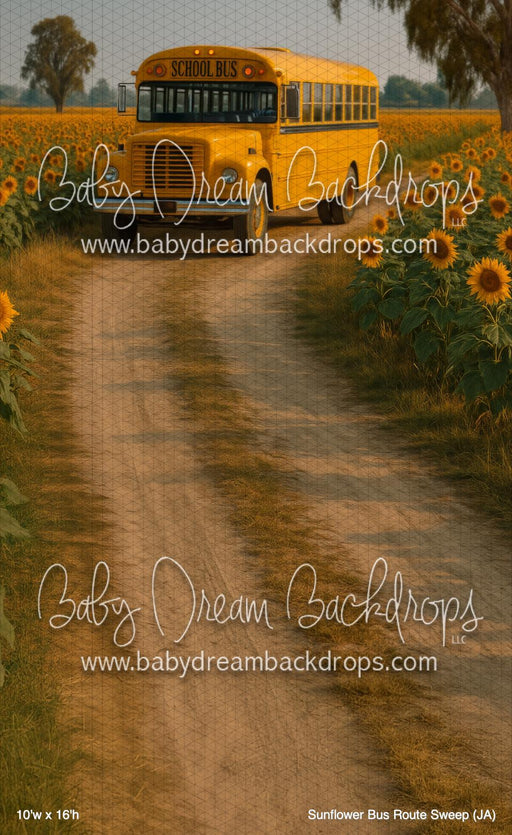 Sunflower Bus Route Sweep (JA)