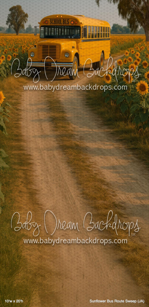 Sunflower Bus Route Sweep (JA)
