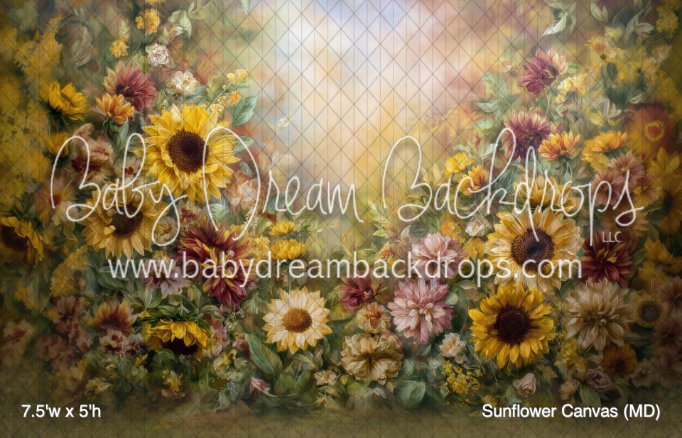 Sunflower Canvas (MD)