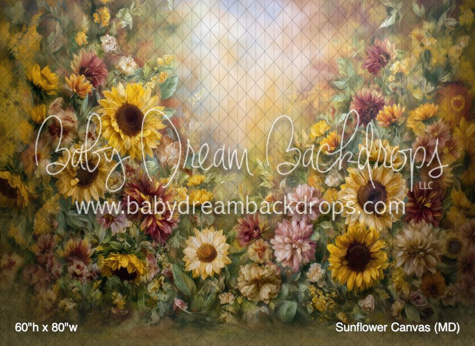 Sunflower Canvas (MD)