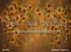 Sunflower Fresco (LL)