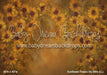 Sunflower Fresco Itty Bitty (LL)