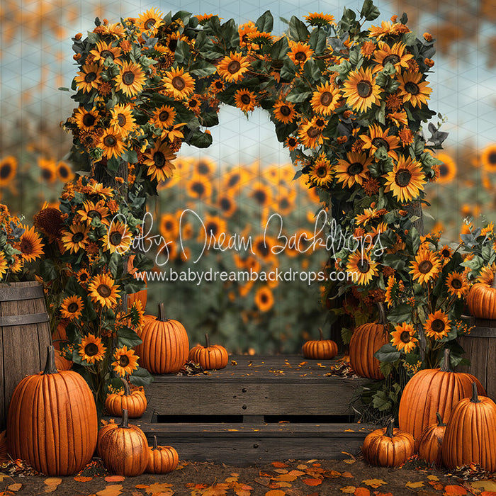 Sunflower Harvest Haven Arch (JA)