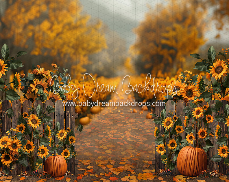 Sunflower Harvest Haven Path (JA)
