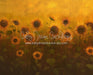 Sunflower Morning (LL)