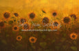 Sunflower Morning (LL)