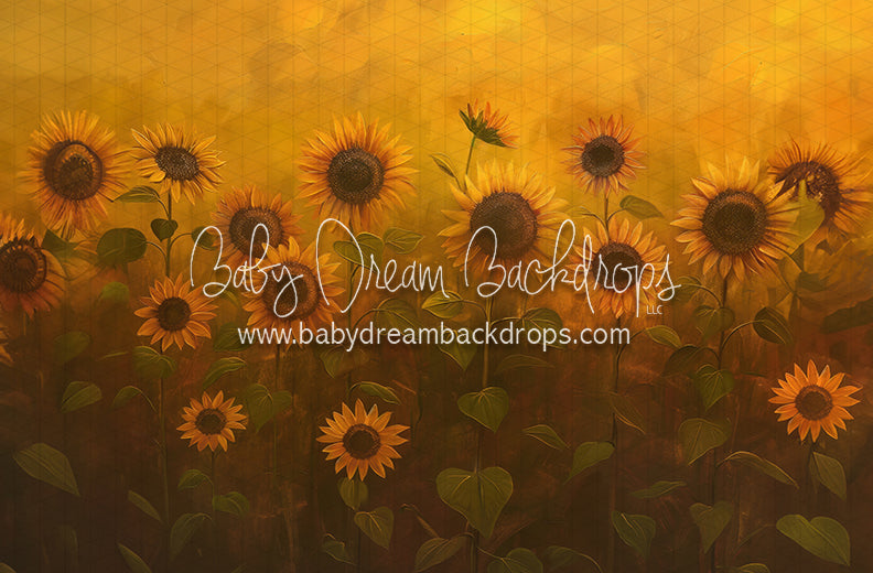 Sunflower Morning (LL)