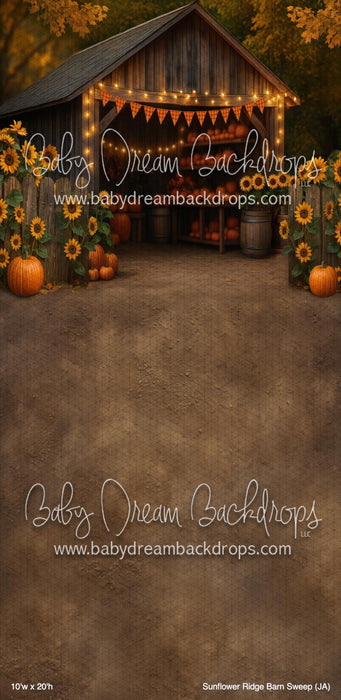 Sunflower Ridge Barn Sweep (JA)