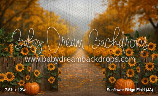 Sunflower Ridge Field (JA)