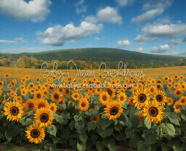 Sunflower Serenade Field (JA)