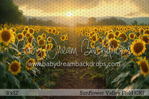 Sunflower Valley Field (GK)