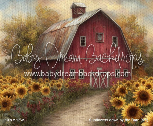 Sunflowers down by the Barn (VR)