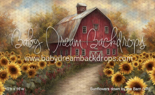 Sunflowers down by the Barn (VR)