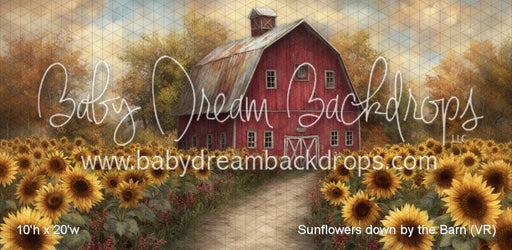 Sunflowers down by the Barn (VR)