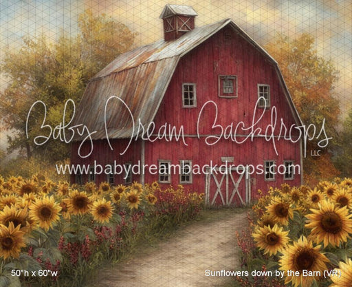 Sunflowers down by the Barn (VR)