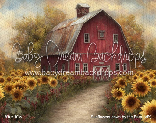 Sunflowers down by the Barn (VR)