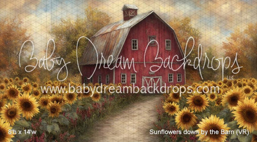 Sunflowers down by the Barn (VR)