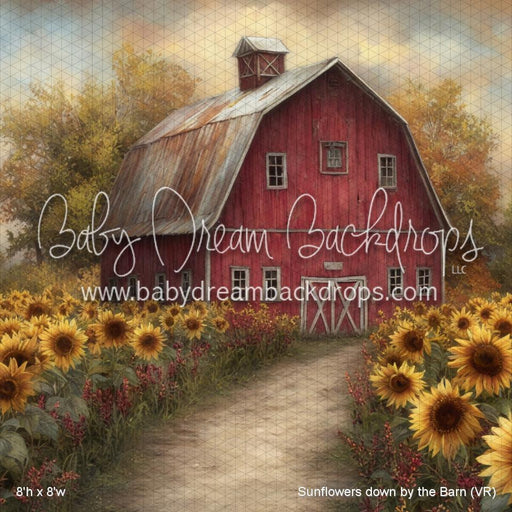 Sunflowers down by the Barn (VR)
