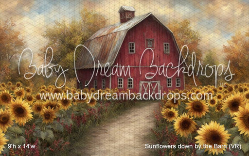 Sunflowers down by the Barn (VR)