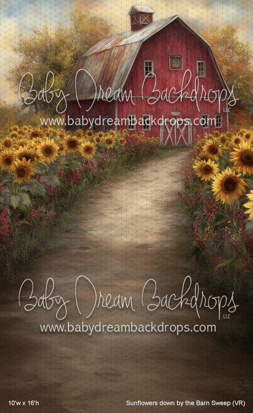 Sunflowers down by the Barn Sweep (VR)