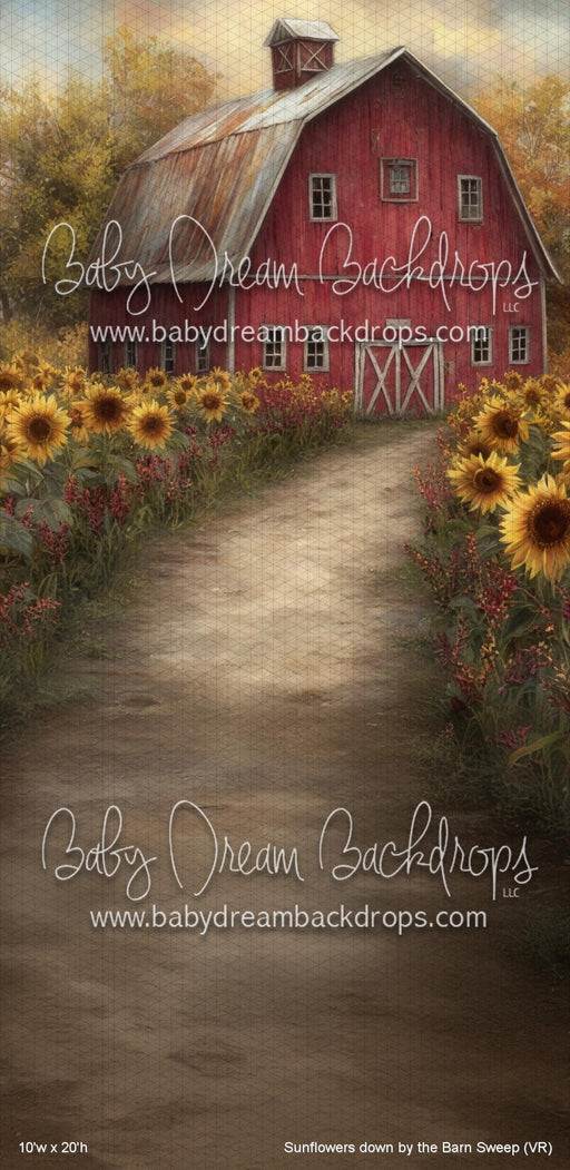 Sunflowers down by the Barn Sweep (VR)