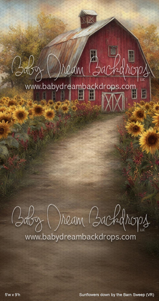 Sunflowers down by the Barn Sweep (VR)