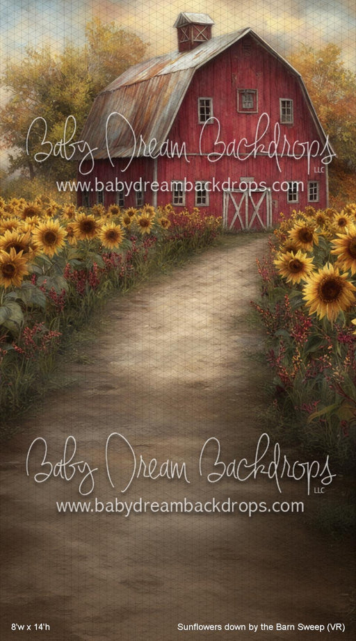 Sunflowers down by the Barn Sweep (VR)