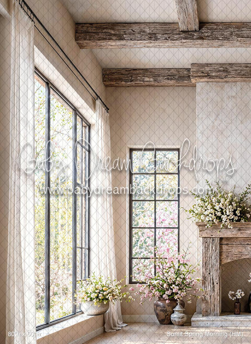 Sunlit Spring Morning (HM)