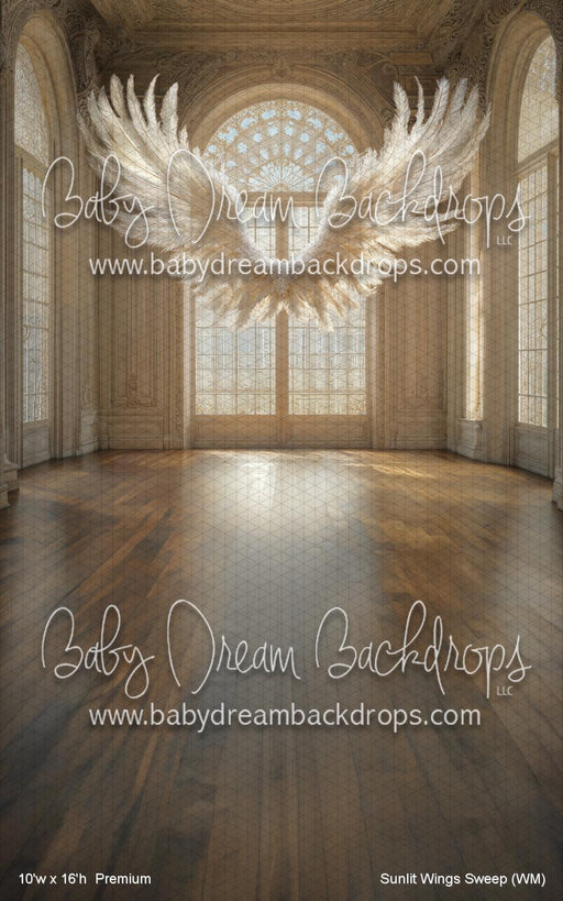 Sunlit Wings Sweep (WM)