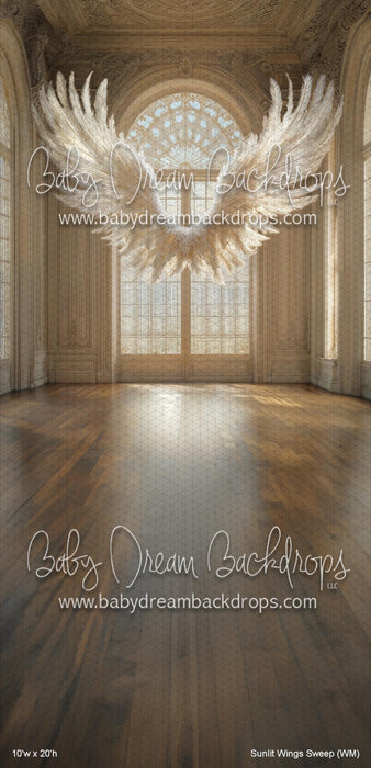 Sunlit Wings Sweep (WM)