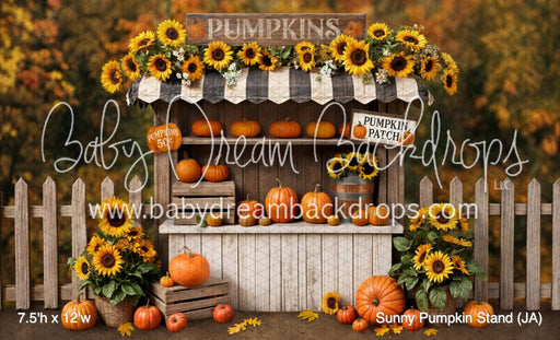 Sunny Pumpkin Stand (JA)