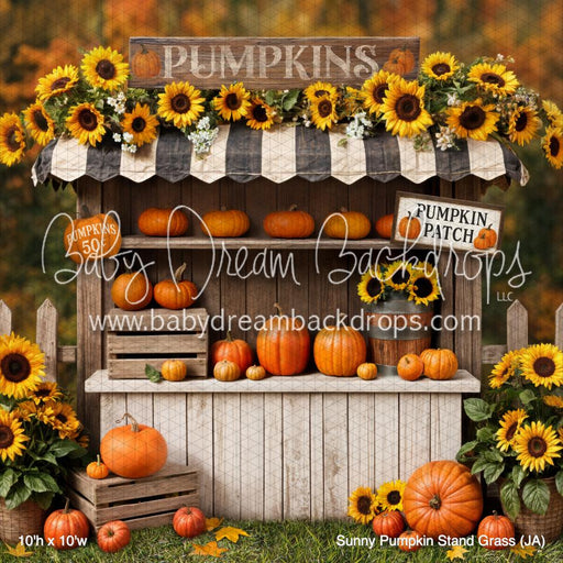Sunny Pumpkin Stand Grass (JA)