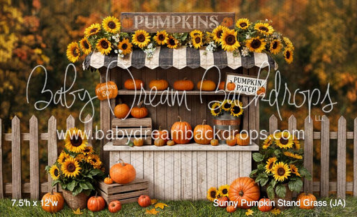 Sunny Pumpkin Stand Grass (JA)