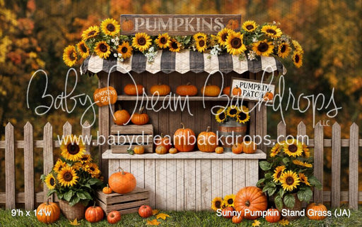 Sunny Pumpkin Stand Grass (JA)