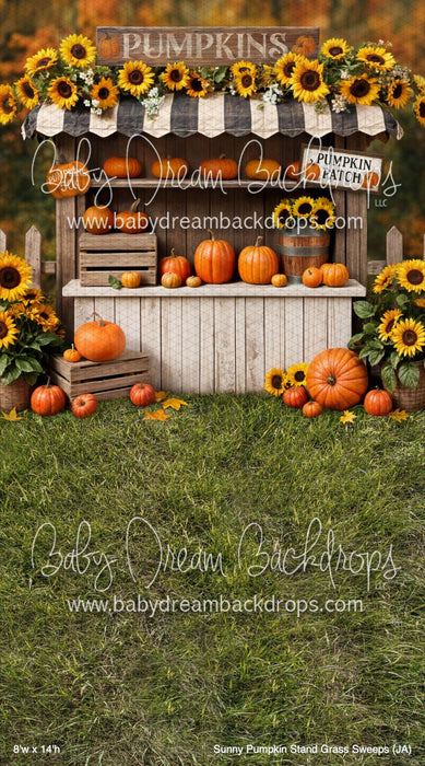 X Drop Sunny Pumpkin Stand Grass Sweeps (JA)