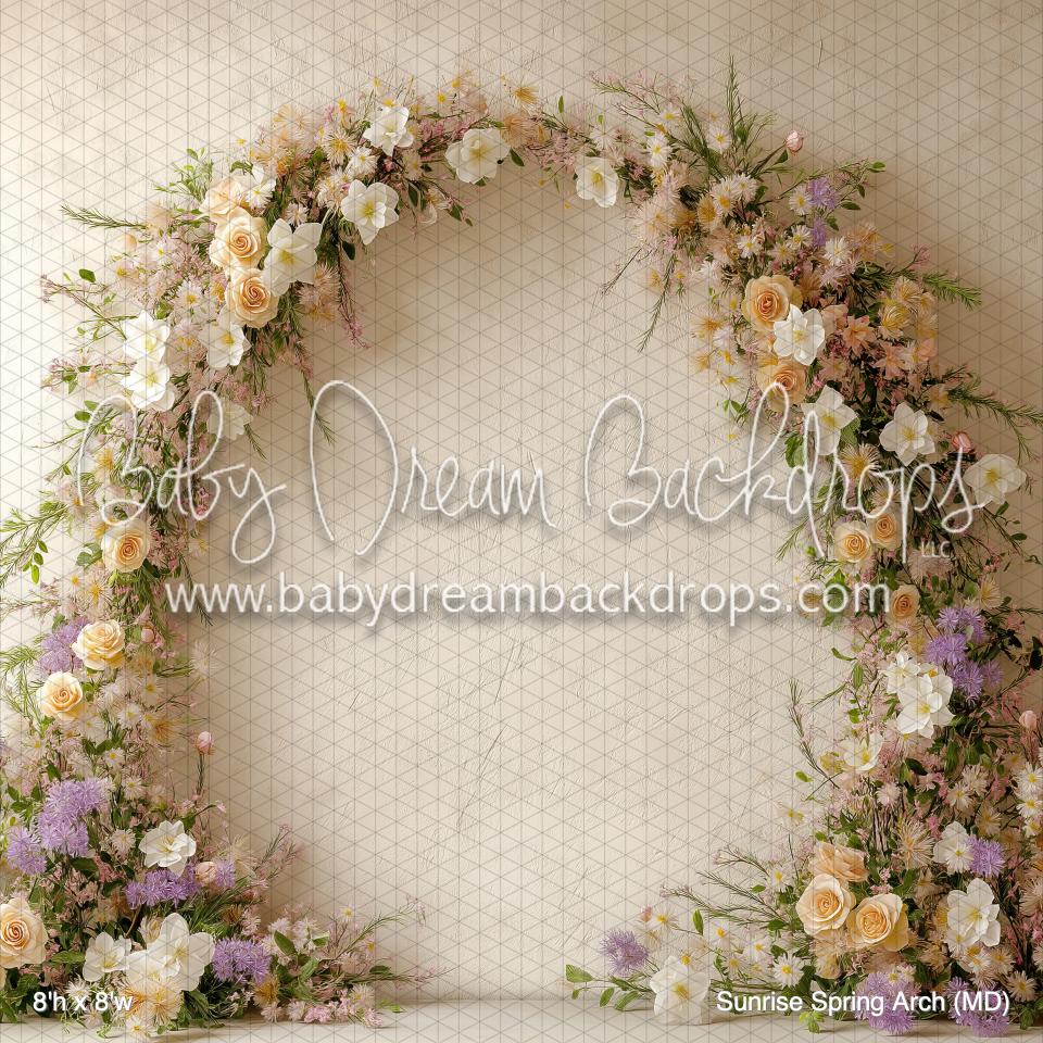 Sunrise Spring Arch (MD) — Baby Dream Backdrops
