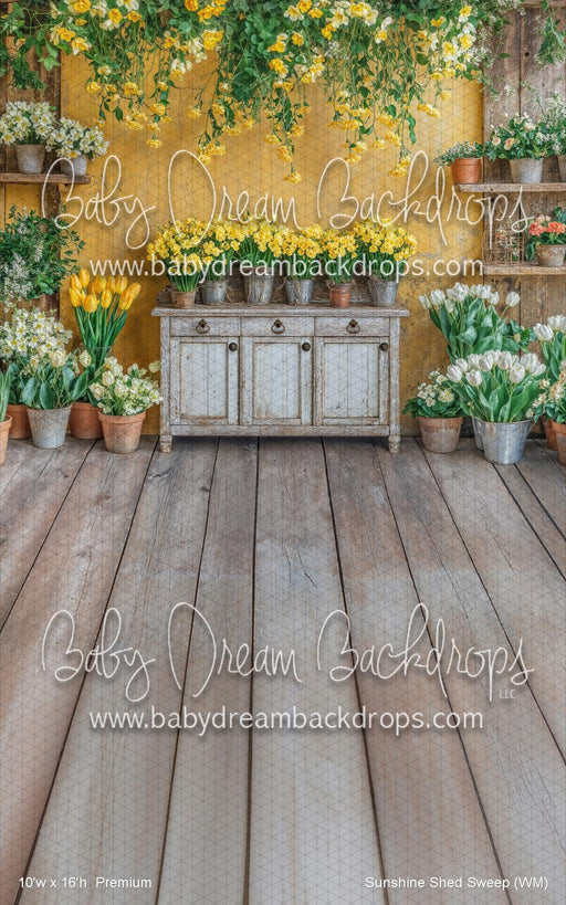 Sunshine Shed Sweep (WM)