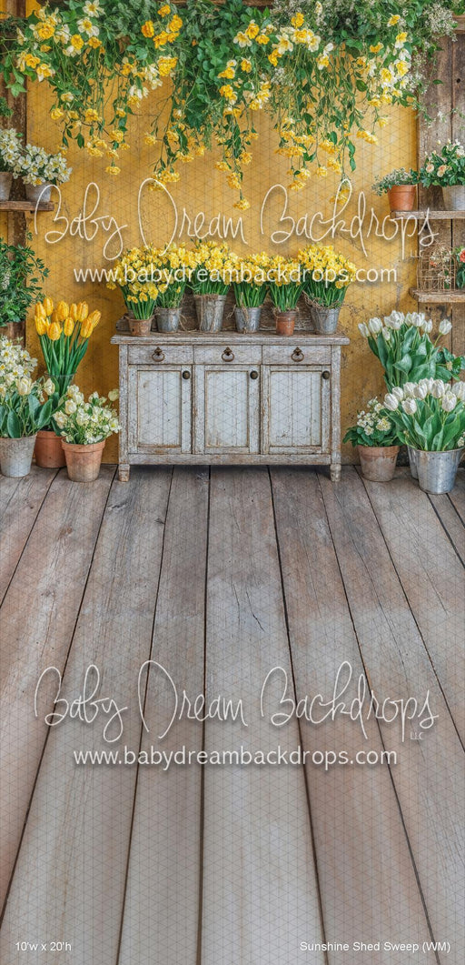 Sunshine Shed Sweep (WM)